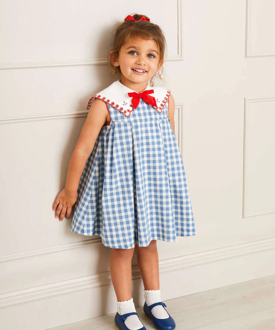 Pepa London Blue Embroidered Gingham Sleeveless Dress