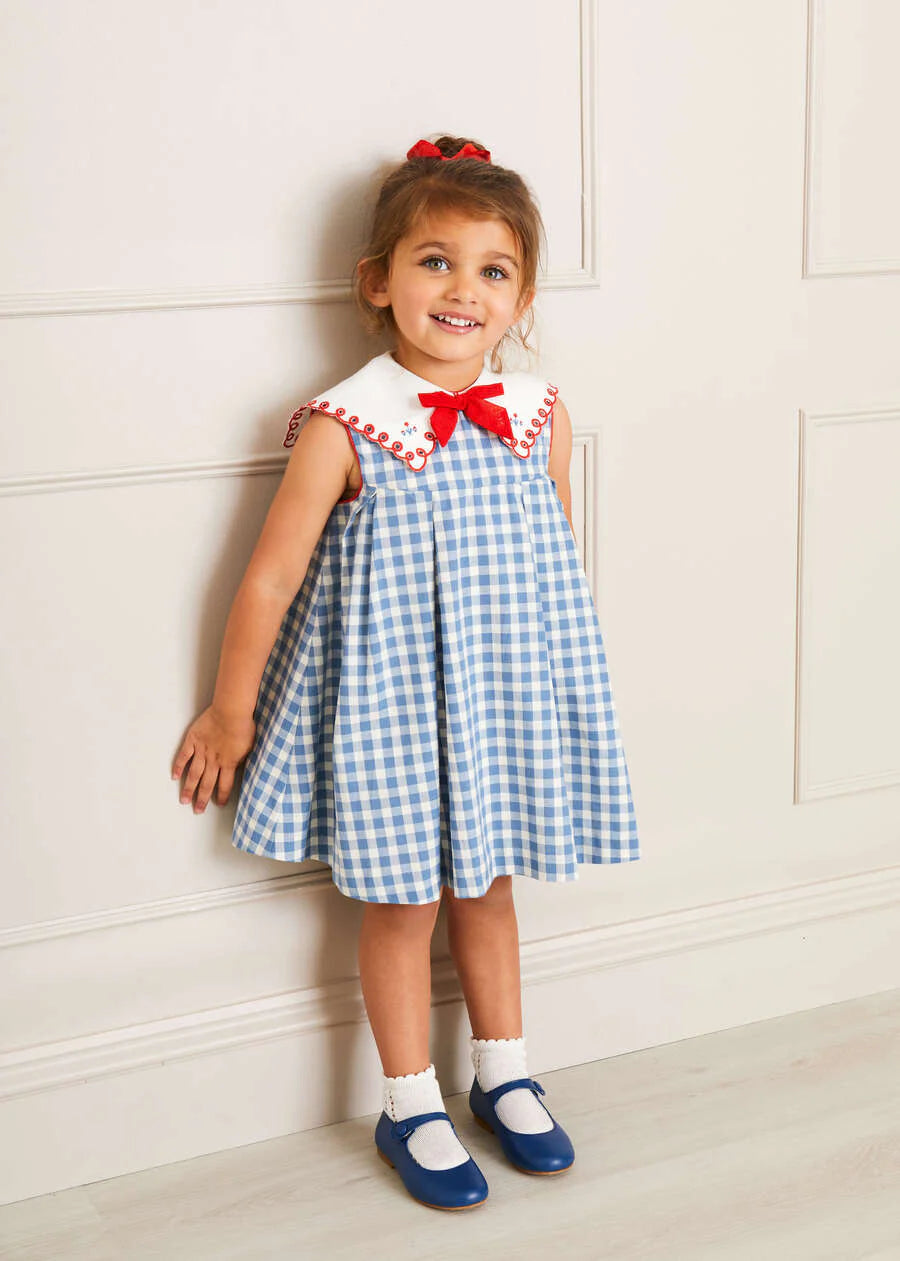 Pepa London Blue Embroidered Gingham Sleeveless Dress