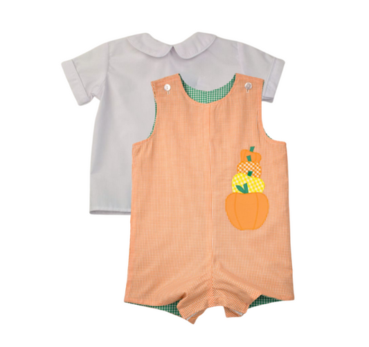 Pumpkins and Dino Reversible Shortall