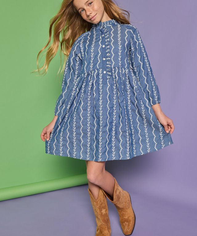 Amelia Dress- Chamonix Chambray Embroidery