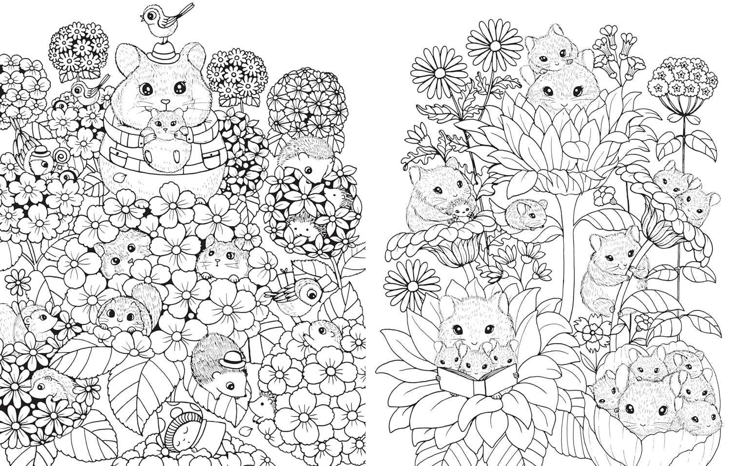 Hachette Books A Million Baby Animals Coloring Book 