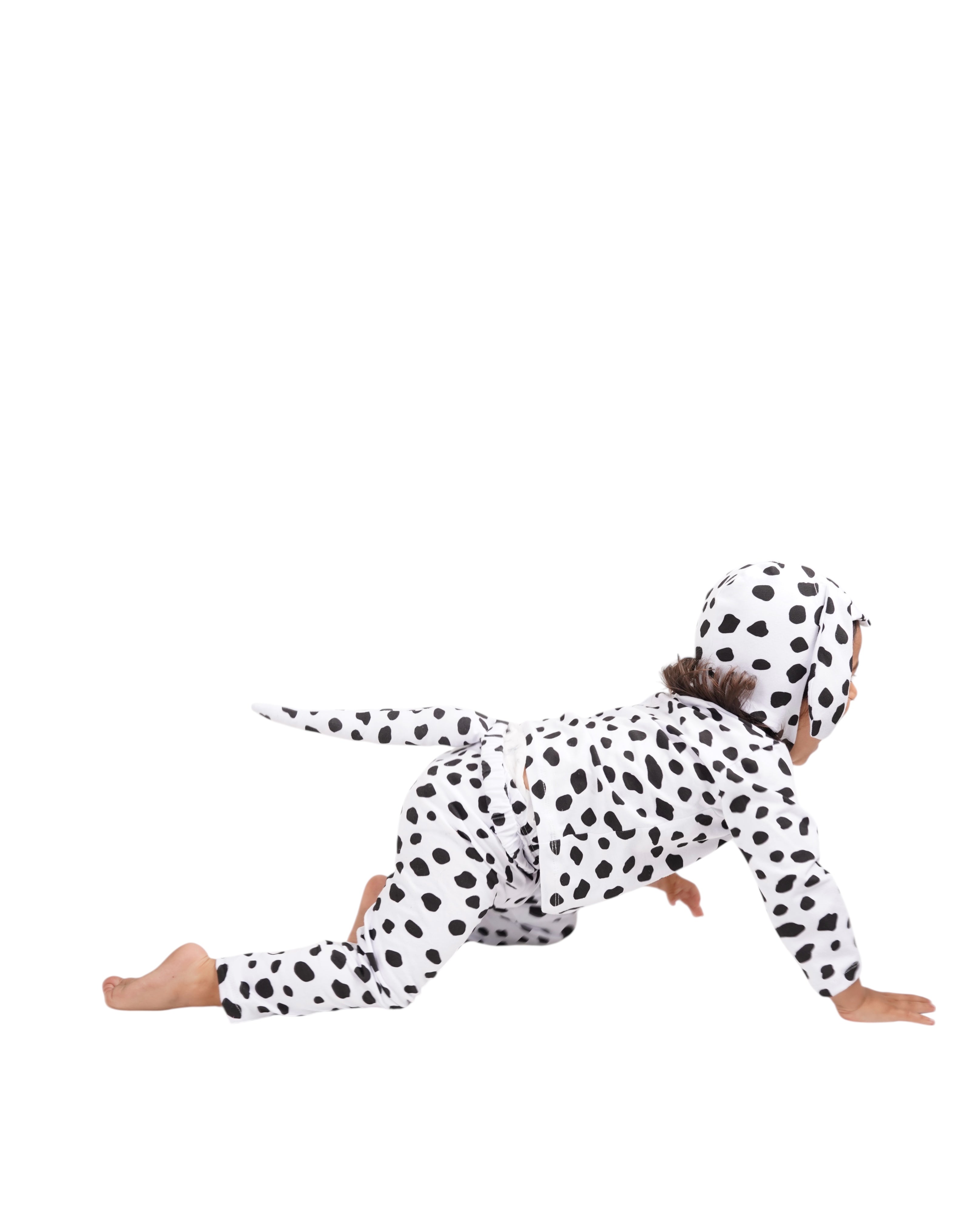 Band of the Wild Dalmatian Costume