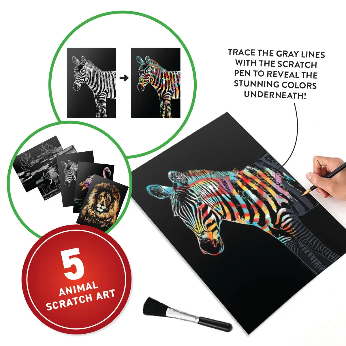 Virtual Reality Discovery Gift Set- Animals