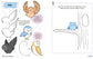 How To Draw Cute Animals