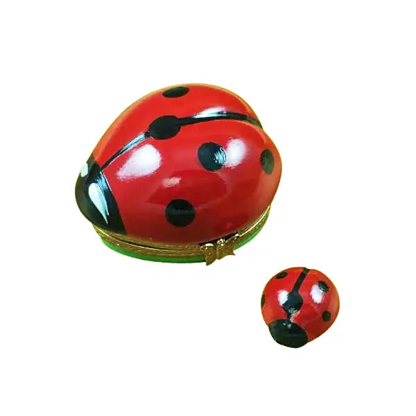 Rochard Ladybug With Baby