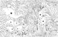 Hachette Books A Million Baby Animals Coloring Book 