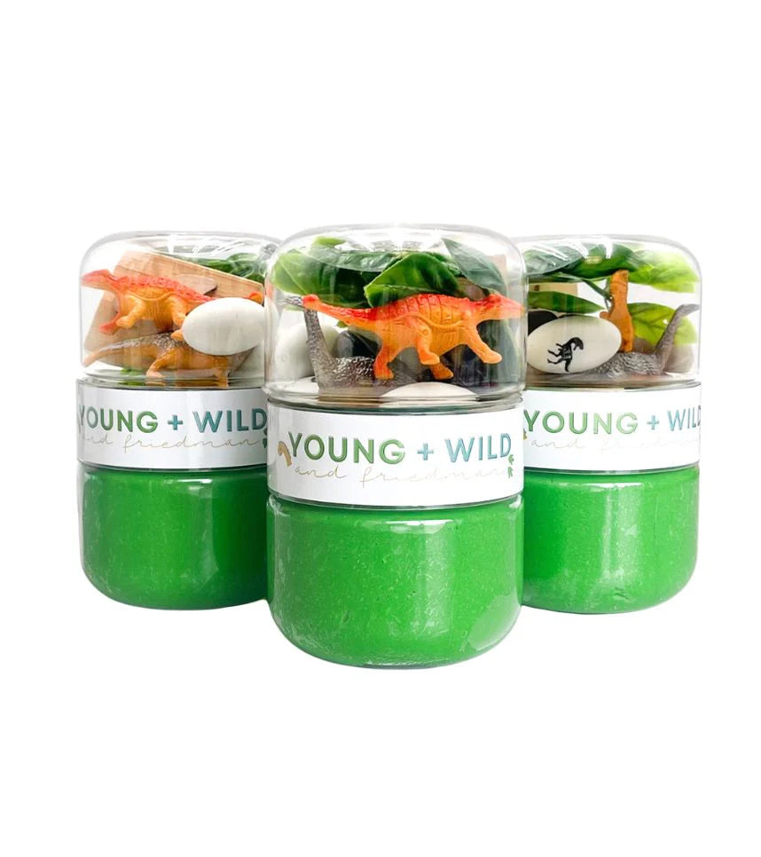 Young + Wild and Friedman Dinosaur Grab & Go Dough Jar