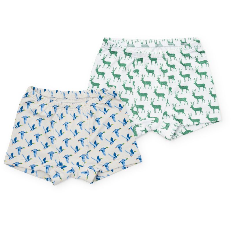 Lila and Hayes James Boys' Underwear Set - Mallard Ducks/ Woodland Deer