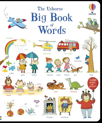 The Usborne Big Book of Words