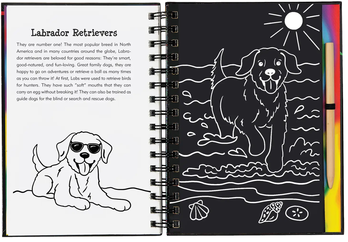 Scratch & Sketch™ Puppies (Trace Along)