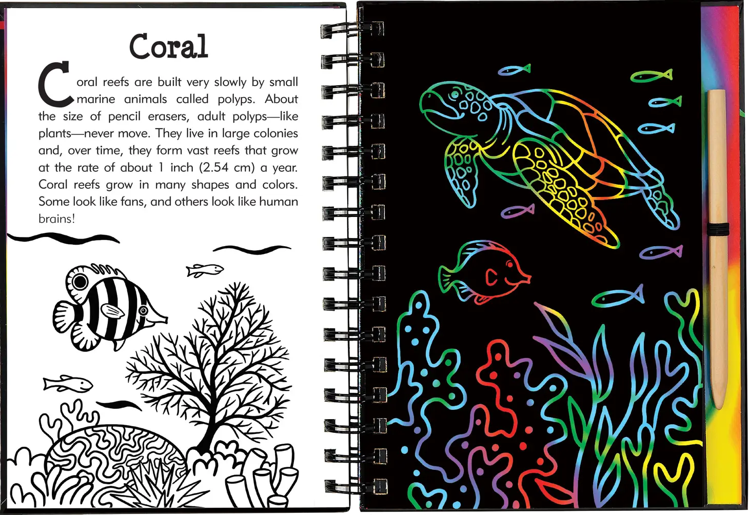 Scratch & Sketch™ Under the Sea (Trace Along)