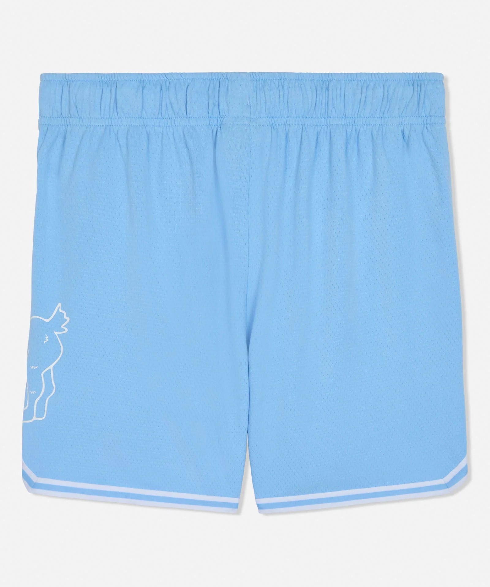 GOAT USA Big Goat Mesh Shorts - Carolina Blue