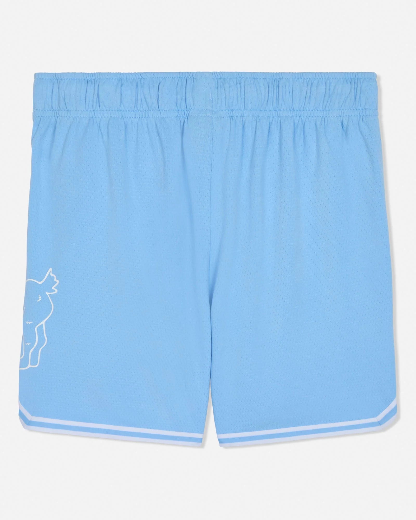 GOAT USA Big Goat Mesh Shorts - Carolina Blue
