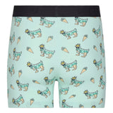 Mint Chip Ice Cream Boxer Brief