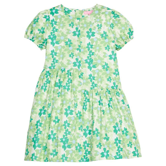 BISBY Phillipa Dress- Greenspring Groovy Floral
