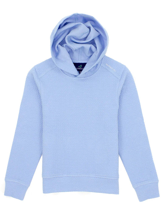 Properly Tied Boys Palmetto Hoodie - Powder Blue