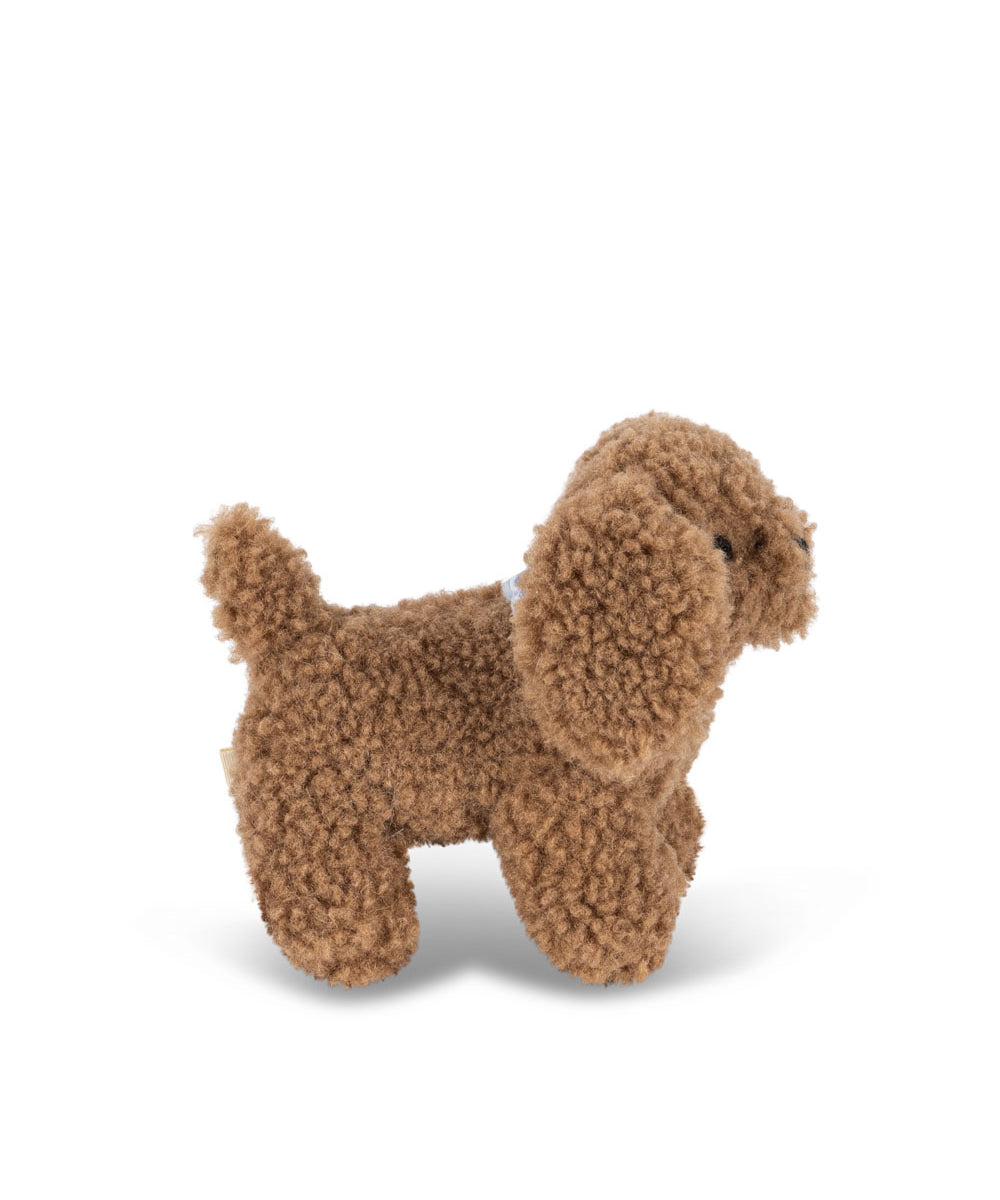 Activity Puppy