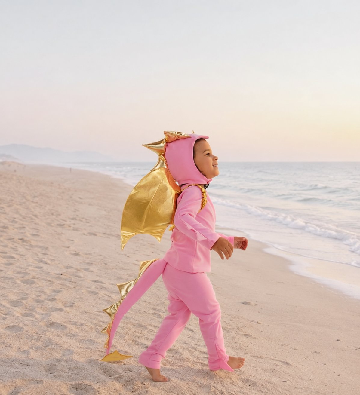 Band of the Wild Pink Sky Dragon