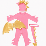 Band of the Wild Pink Sky Dragon