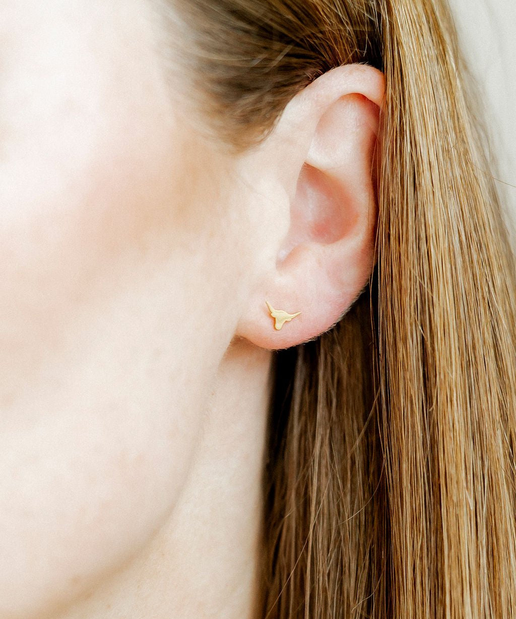 Screwback Stud Earrings - Texas Steer