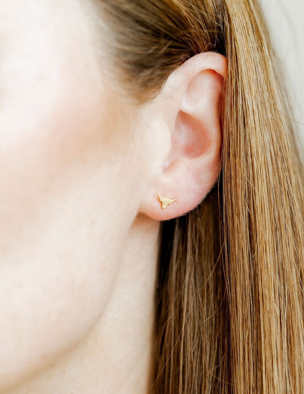 Screwback Stud Earrings - Texas Steer