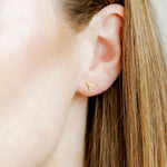 Screwback Stud Earrings - Texas Steer