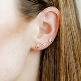 Screwback Stud Earrings - Texas Steer