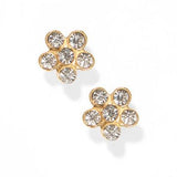 Screwback Stud Earrings - Lyla Clear