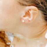 Screwback Stud Earrings - Lyla Clear