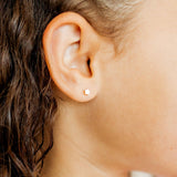 Screwback Stud Earrings - Stella Star