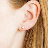 Screwback Stud Earrings - Stella Star