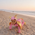 Band of the Wild Pink Sky Dragon