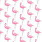 Lila and Hayes Poppy Girls' Pima Cotton Short Set - Fabulous Flamingos