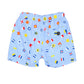 Nautical Flags Swim Trunks